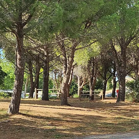 Campsite Mobil-home Tout Confort